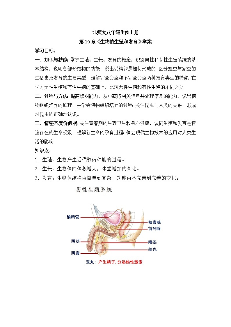 北师大八年级生物上册第19章《生物的生殖和发育》学案01