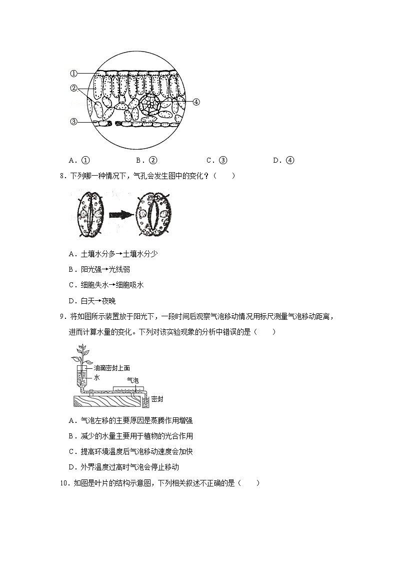 人教新版生物七年级上册《绿色植物与生物圈的水循环》课件+教案+练习03