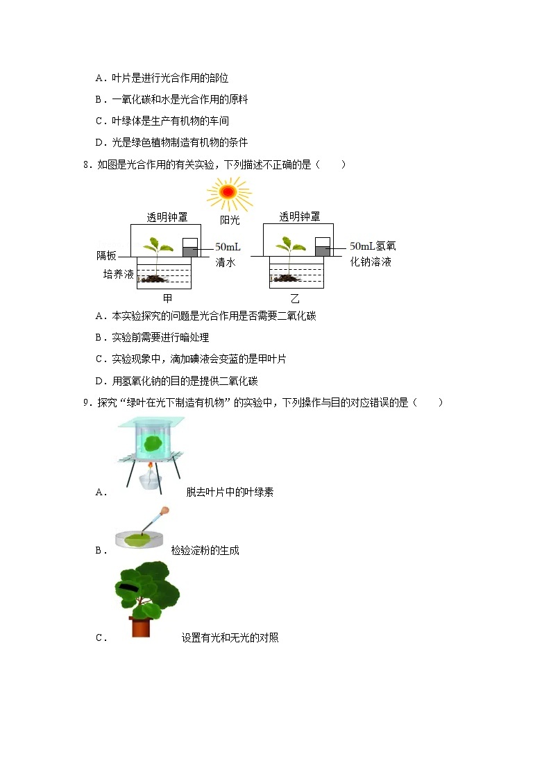 人教新版生物七年级上册《绿色植物是生物圈中有机物的制造者》课件+教案+练习03