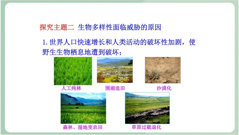 苏教版生物八年级上册15.2 保护生物多样性的艰巨使命 课件+教案06