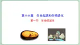 苏教版生物八年级上册16.1 生命的诞生 课件