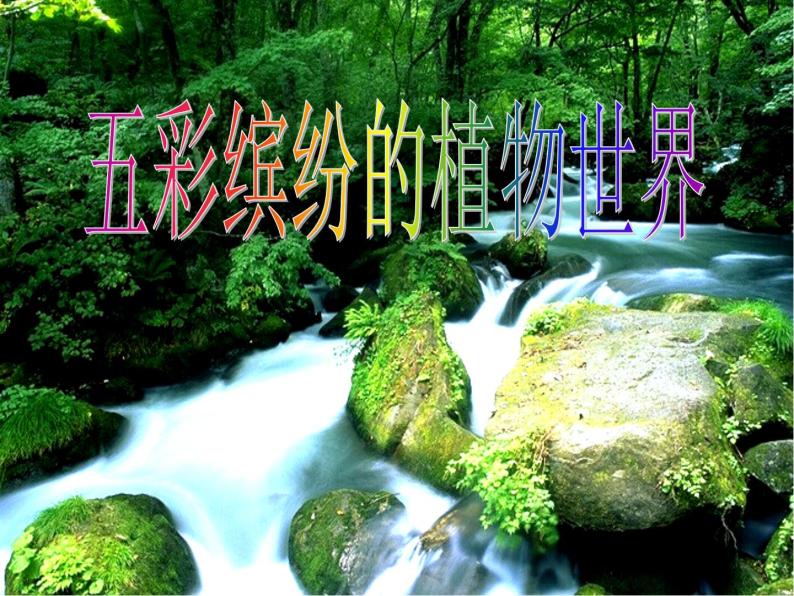 14.1五彩缤纷的植物世界课件  苏教版生物八年级上册01