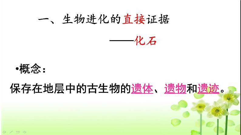 16.2 生物进化的历程 课件 苏教版生物八年级上册第8页