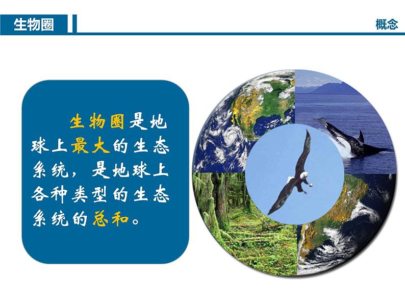 20.1生物圈中各种各样的生态系统 课件 苏教版生物八年级上册06