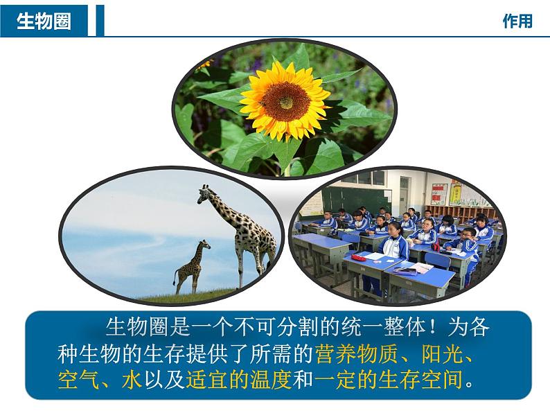 20.1生物圈中各种各样的生态系统 课件 苏教版生物八年级上册08