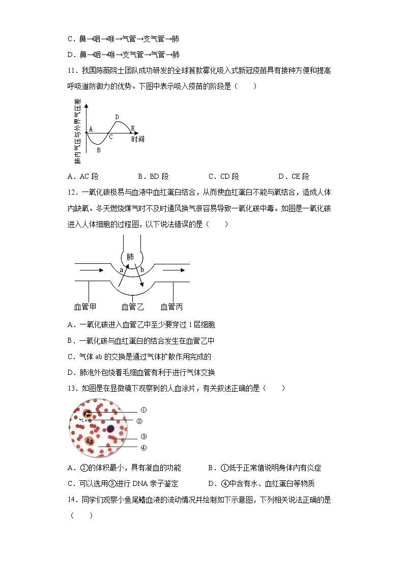 广东省深圳市光明区2021-2022学年七年级下学期期末生物试题(word版含答案)第3页