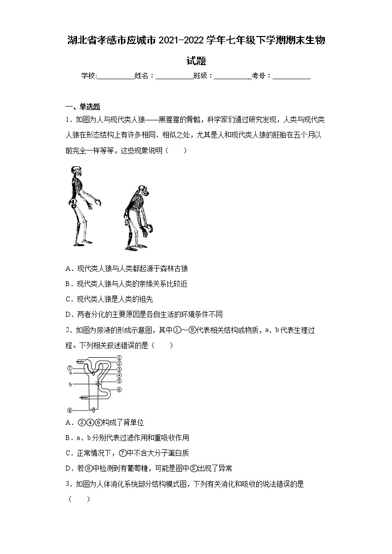 湖北省孝感市应城市2021-2022学年七年级下学期期末生物试题(word版含答案)01