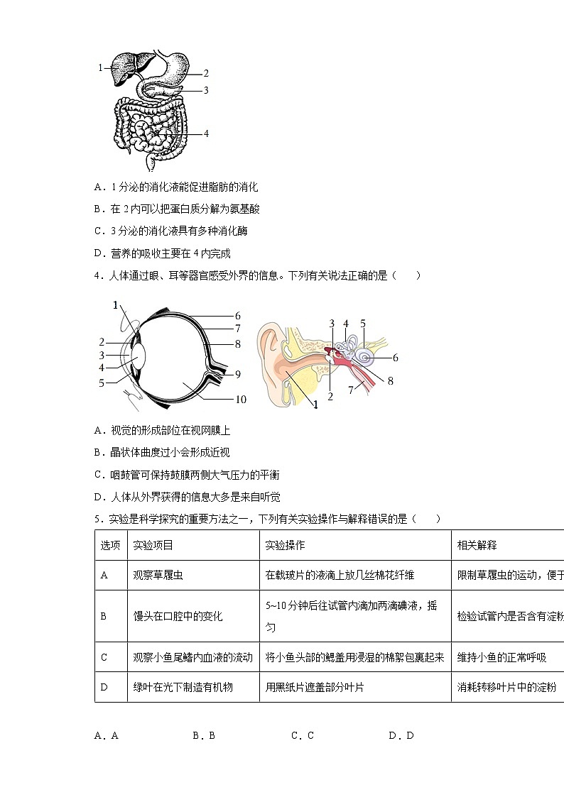 湖北省孝感市应城市2021-2022学年七年级下学期期末生物试题(word版含答案)02