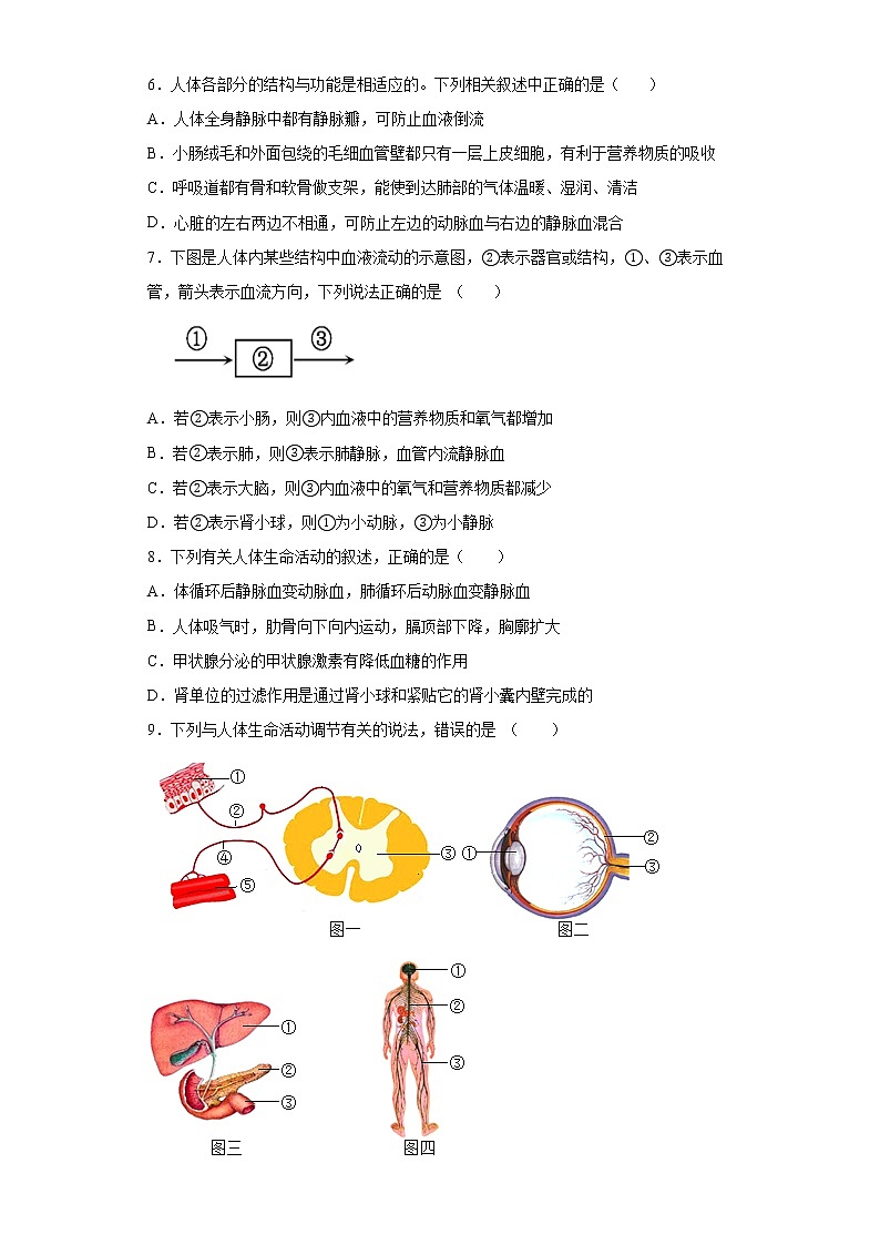 湖北省孝感市应城市2021-2022学年七年级下学期期末生物试题(word版含答案)03
