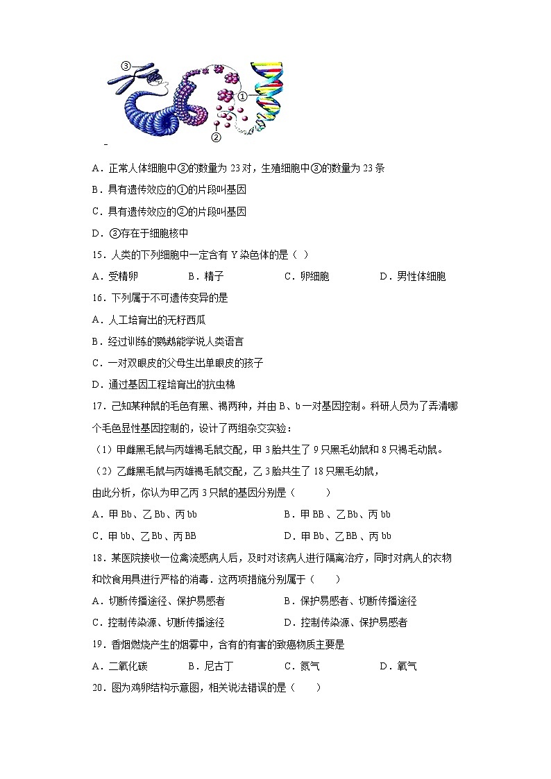 辽宁省朝阳市建平县2021-2022学年八年级下学期期末生物试题(word版含答案)第3页