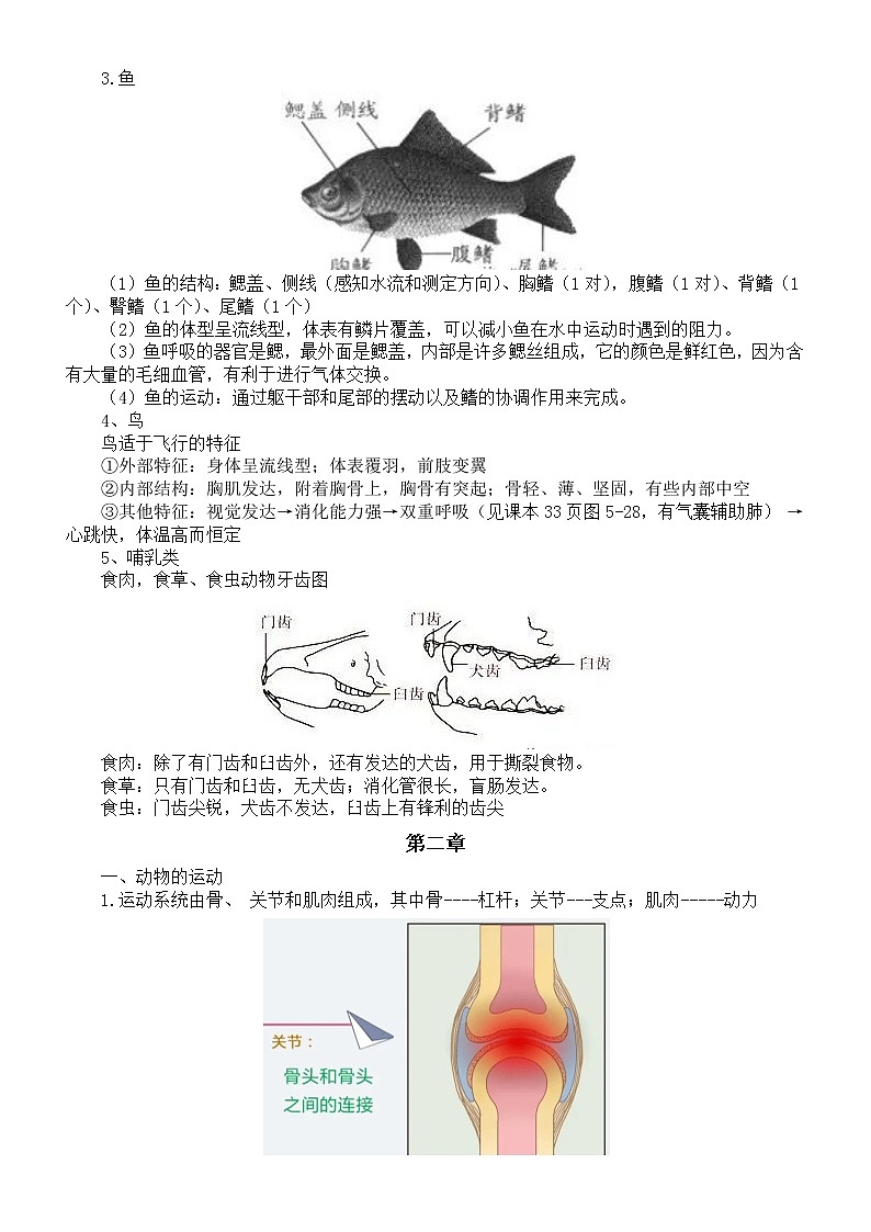 初中生物人教版八年级上册知识点整理汇总第2页