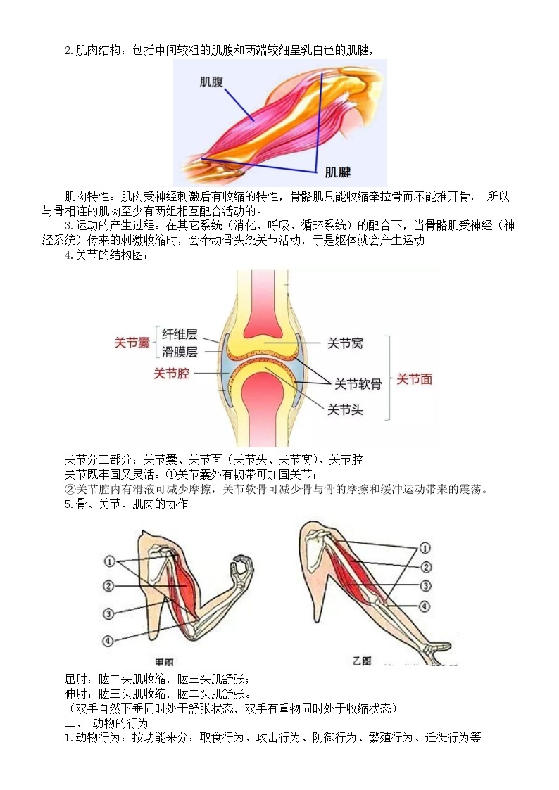 初中生物人教版八年级上册知识点整理汇总03