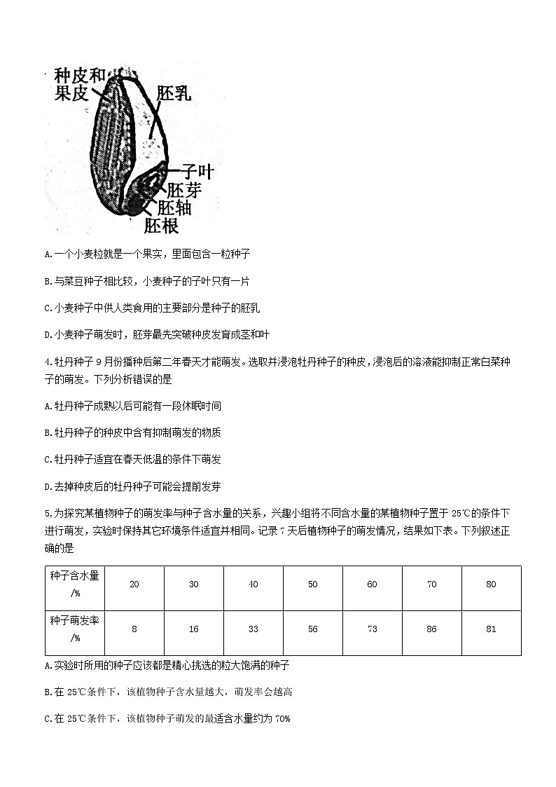 山东省泰安市肥城市2021-2022学年六年级下学期期末生物试题(word版含答案)第2页