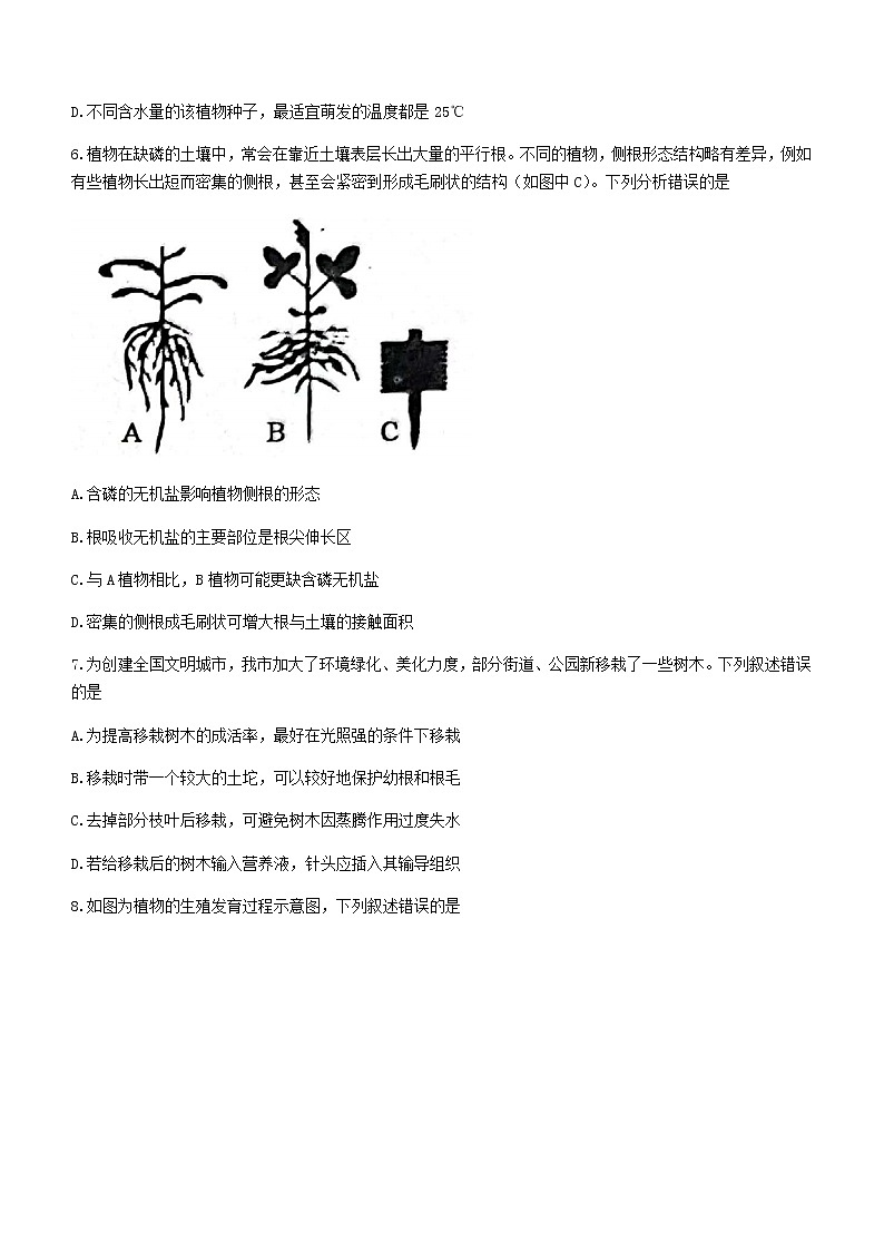 山东省泰安市肥城市2021-2022学年六年级下学期期末生物试题(word版含答案)第3页