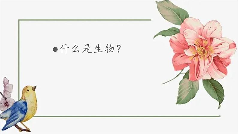 人教版初中生物学七年级上册《生物的特征》课件02