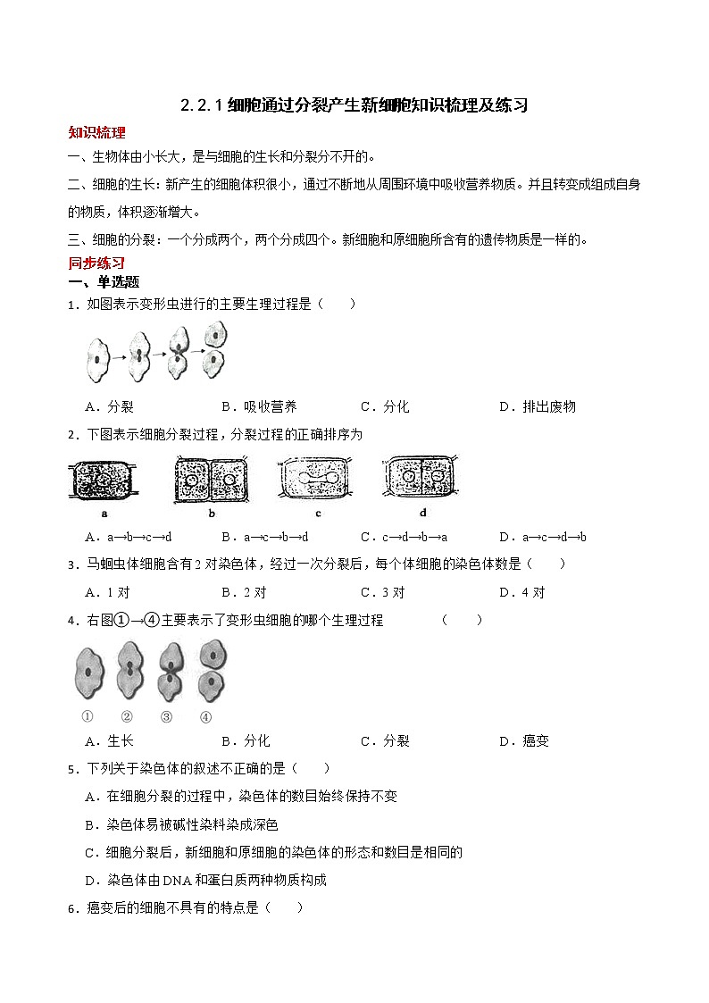 2.2.1细胞通过分裂产生新细胞知识梳理及练习 2022-2023年人教版生物七年级上册(原卷版)第1页