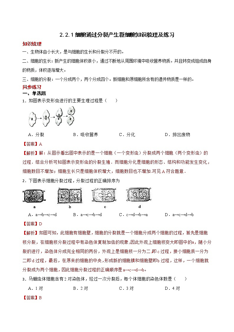 2.2.1细胞通过分裂产生新细胞知识梳理及练习 2022-2023年人教版生物七年级上册(解析版)第1页