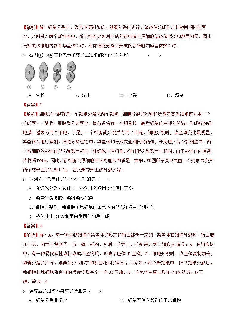 2.2.1细胞通过分裂产生新细胞知识梳理及练习 2022-2023年人教版生物七年级上册(解析版)第2页