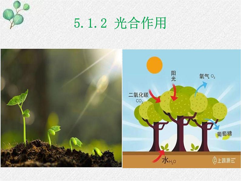 北师大版生物七年级上册第5章第1节第2课时《光合作用 》PPT课件第1页