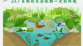 初中生物北师大版八年级下册第1节 生物的生存依赖一定的环境图片课件ppt