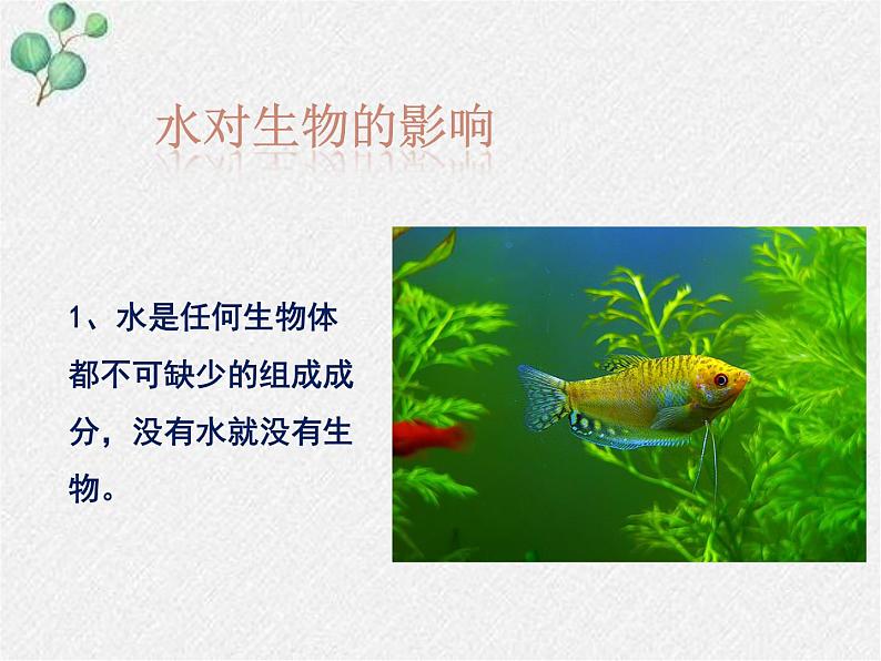 北师大版生物八年级下册第23章第1节《23.1 生物的生存依赖一定的环境 》PPT课件05