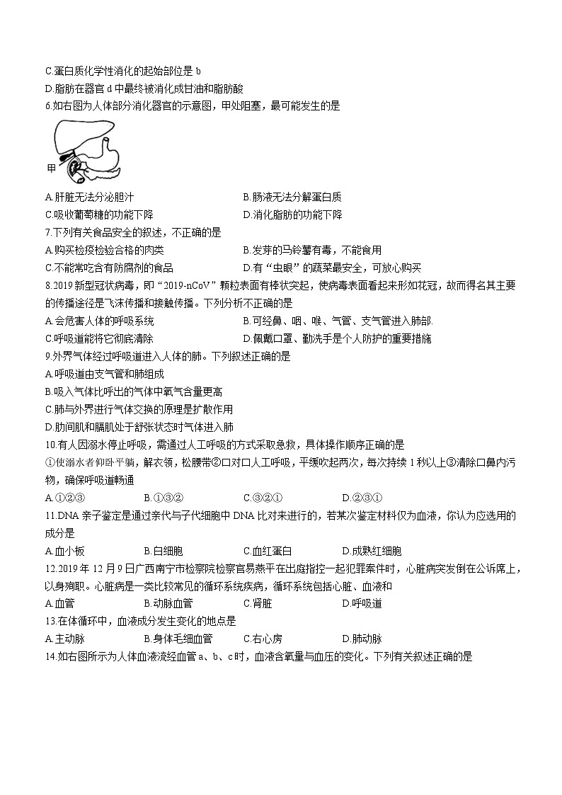 湖南省怀化市辰溪县2021-2022学年七年级下学期期末生物试题(word版含答案)第2页