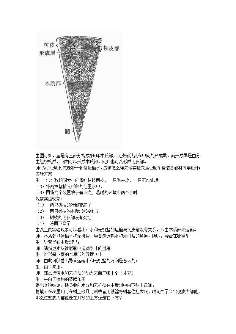 北师大版七上生物 5.5运输作用 教案第2页