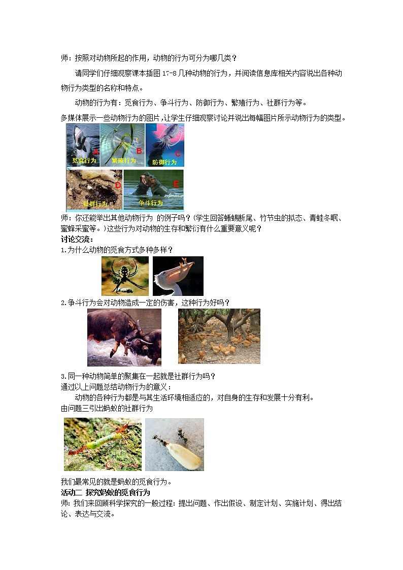 苏科版八年级上册生物   17.2动物的行为 教案02