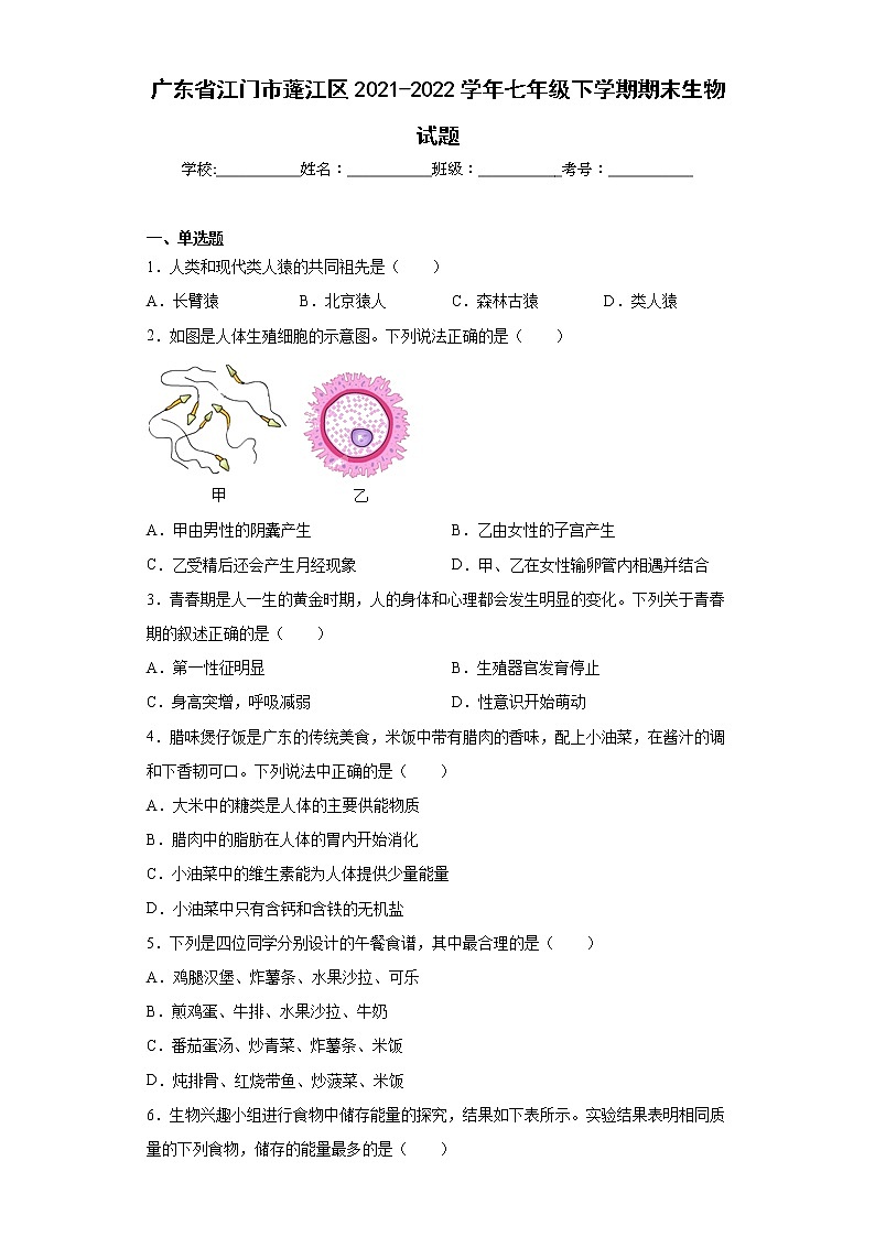 广东省江门市蓬江区2021-2022学年七年级下学期期末生物试题(word版含答案)第1页