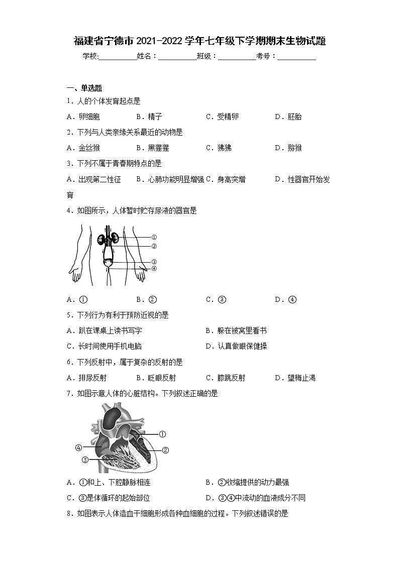 福建省宁德市2021-2022学年七年级下学期期末生物试题(word版含答案)01