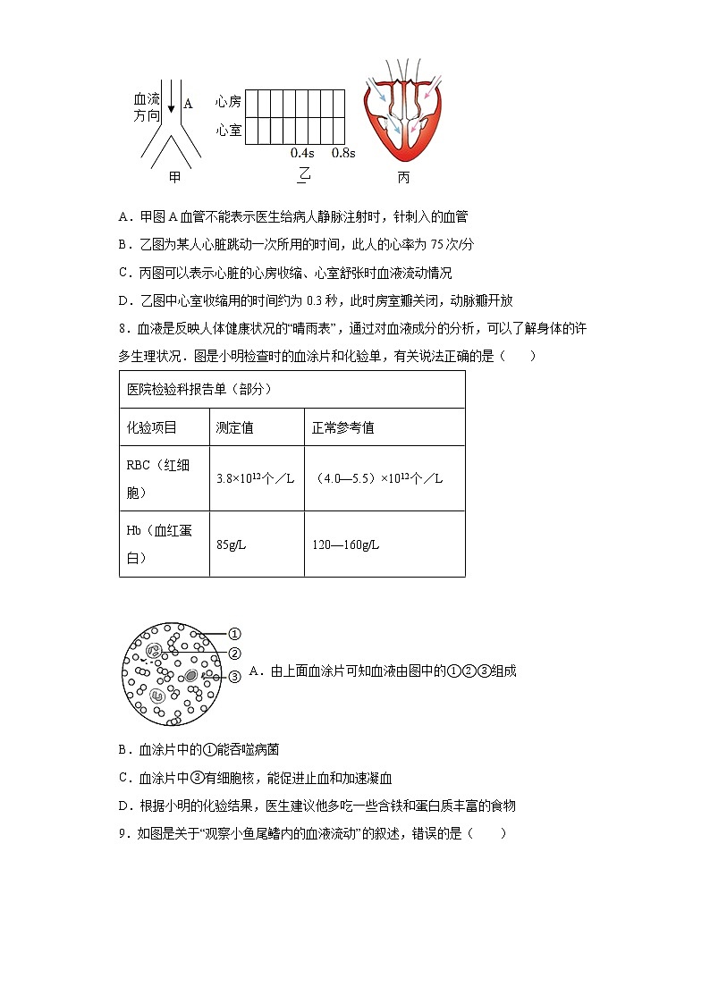 山东省潍坊市潍城区等六区2021-2022学年七年级下学期期末生物试题(word版含答案)第3页
