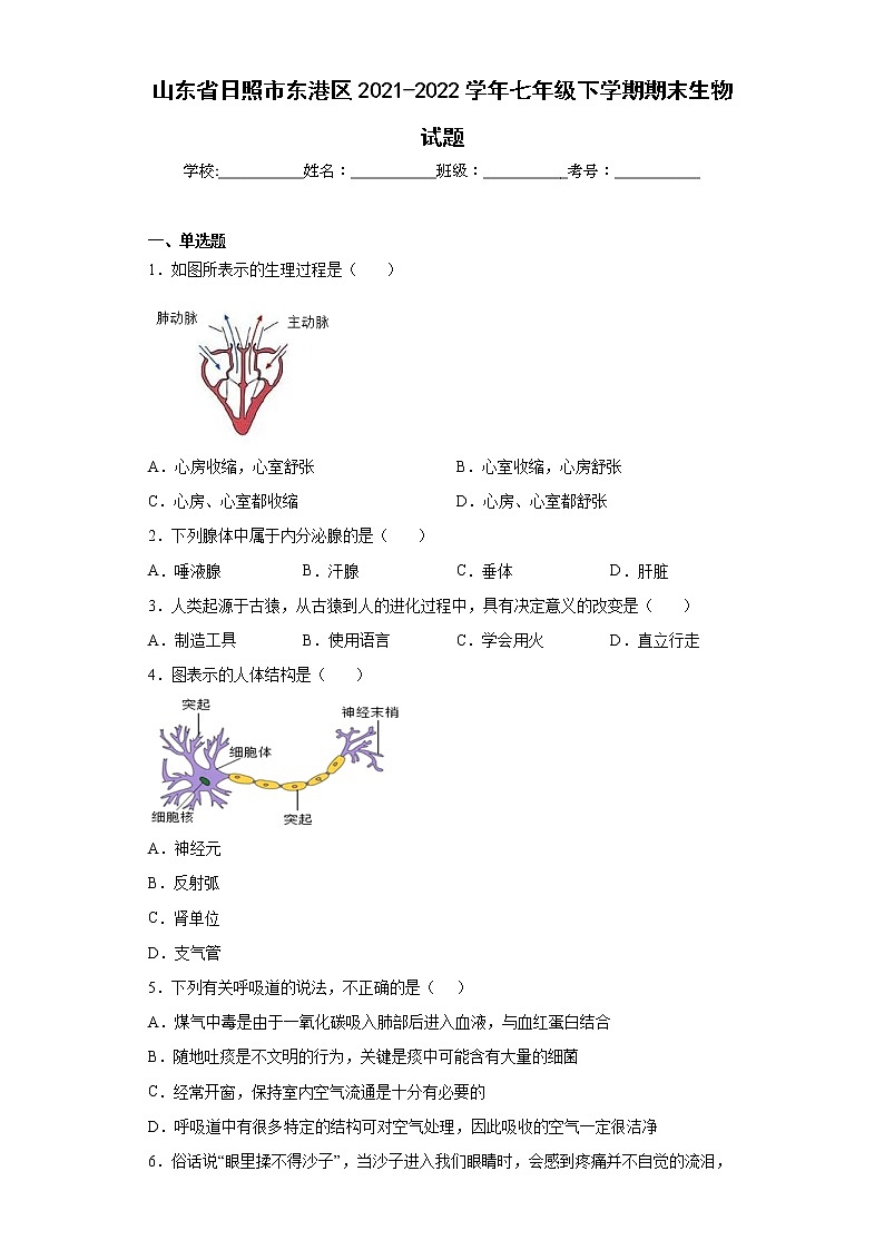 山東省日照市東港區(qū)2021-2022學(xué)年七年級下學(xué)期期末生物試題(word版含答案)第1頁