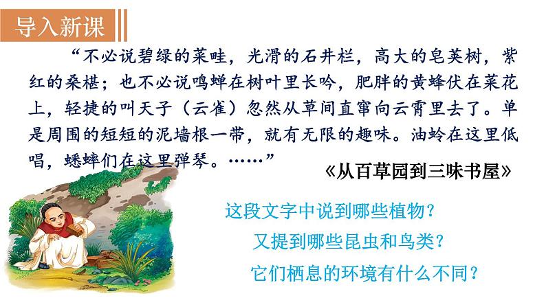 人教版七年级生物上册课件 第1单元 第1章 第2节 调查周边环境中的生物02