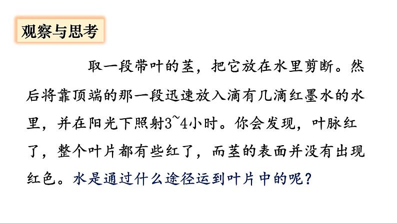 人教版七年级生物上册课件 第3单元 第3章 绿色植物与生物圈的水循环05