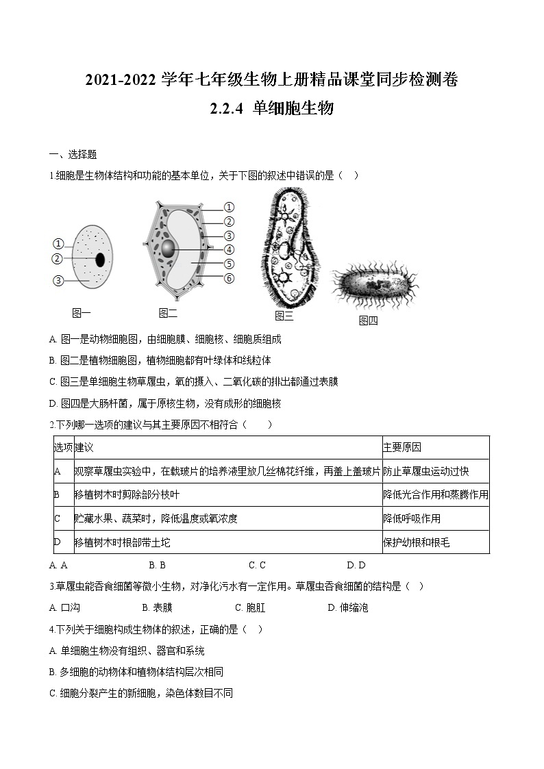 2.2.4+单细胞生物 人教版生物七年级上册同步检测卷01