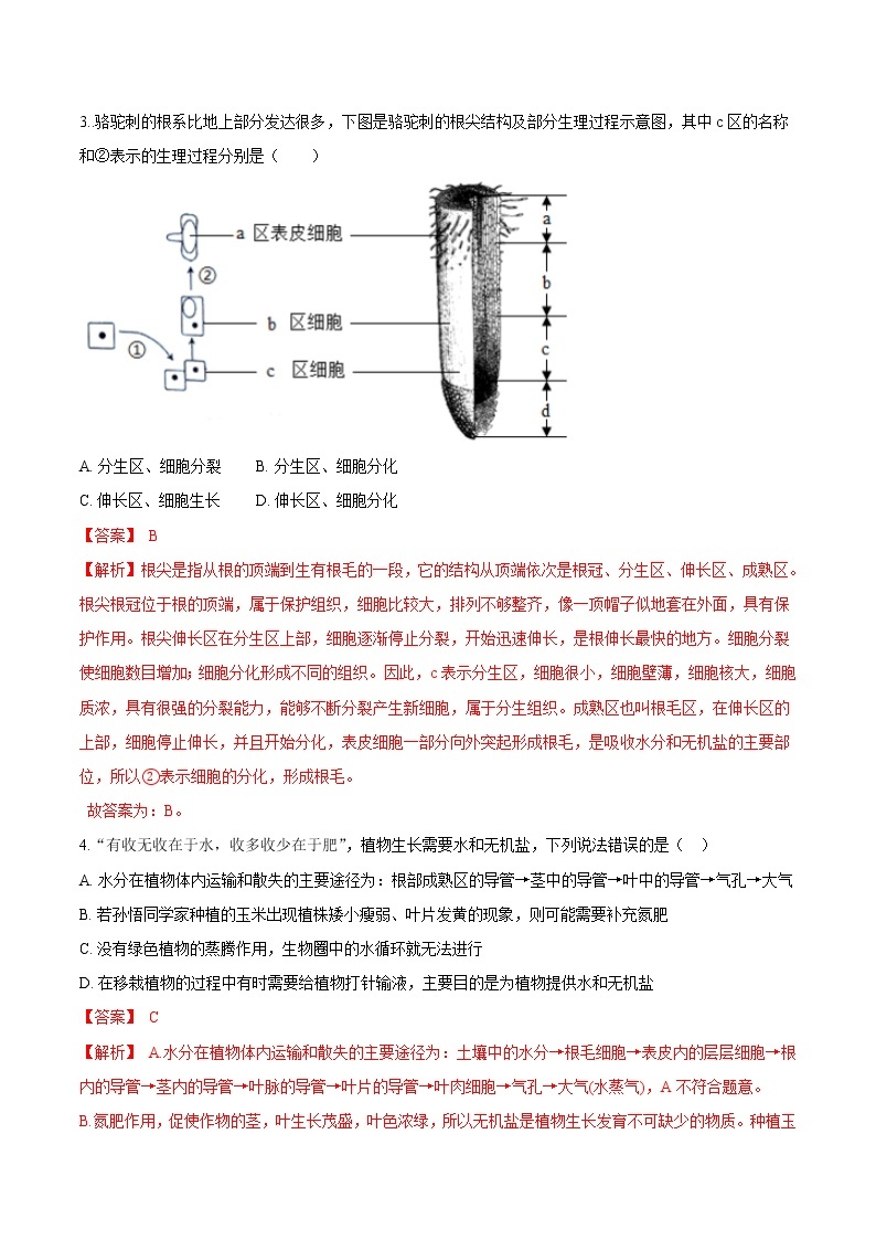 3.2.2+植株的生长 人教版生物七年级上册同步检测卷02