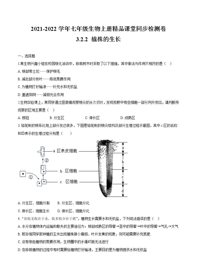 3.2.2+植株的生长 人教版生物七年级上册同步检测卷01