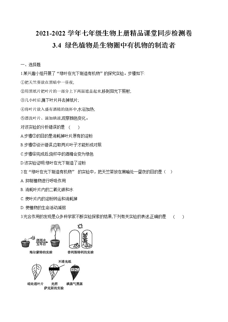 3.4+绿色植物是生物圈中有机物的制造者 人教版生物七年级上册同步检测卷01