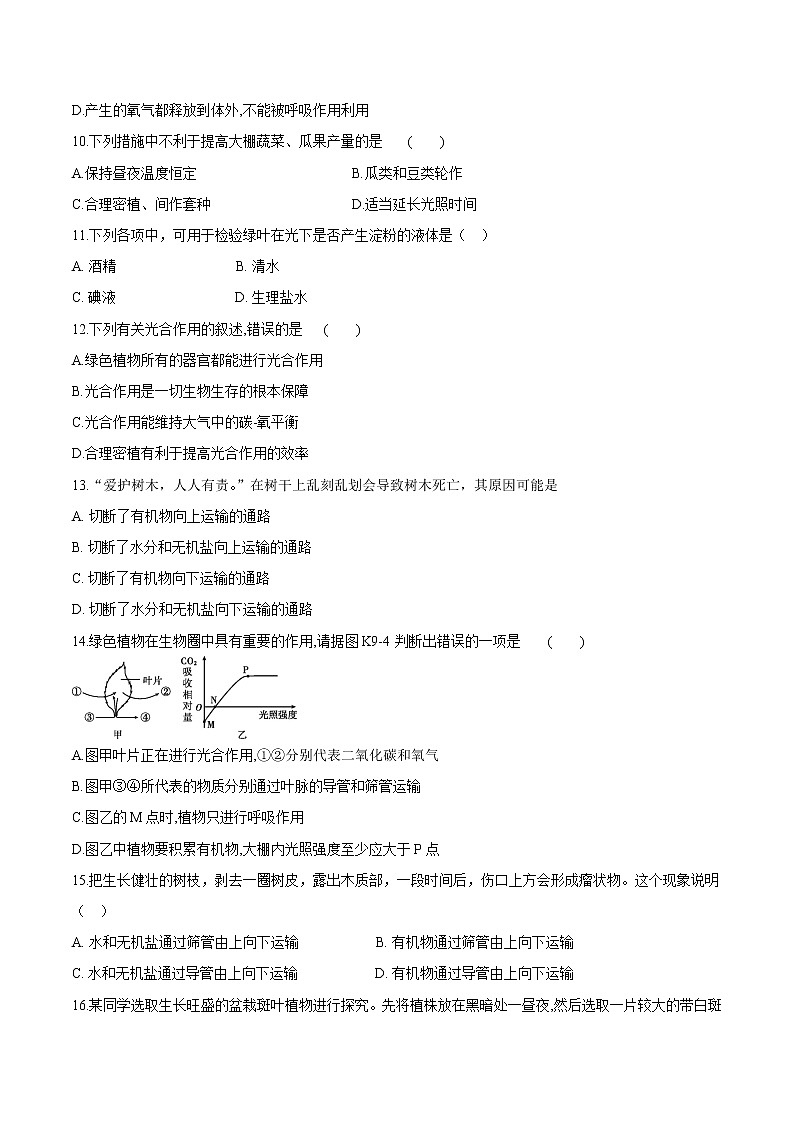3.4+绿色植物是生物圈中有机物的制造者 人教版生物七年级上册同步检测卷03