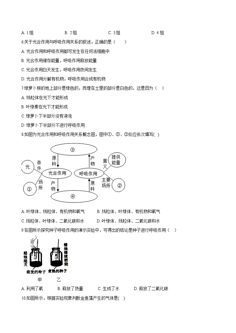 3.5 绿色植物与生物圈中的碳-氧平衡-2021-2022学年七年级生物上册精品课堂同步检测卷(人教版)(原卷版)第2页