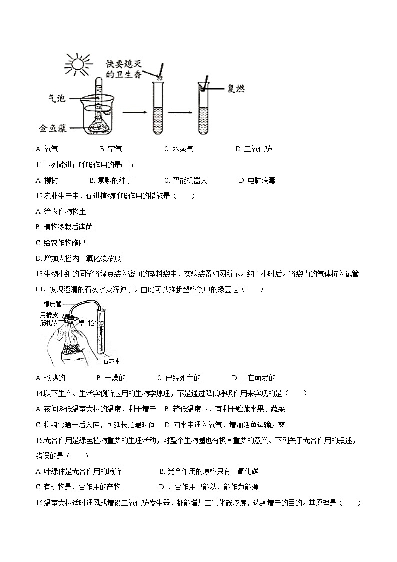 3.5 绿色植物与生物圈中的碳-氧平衡-2021-2022学年七年级生物上册精品课堂同步检测卷(人教版)(原卷版)第3页
