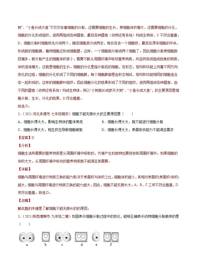 第02单元 第02章+细胞怎样构成生物体(B卷·提升能力)-2022-2023学年七年级生物上册同步单元AB卷(人教版)02