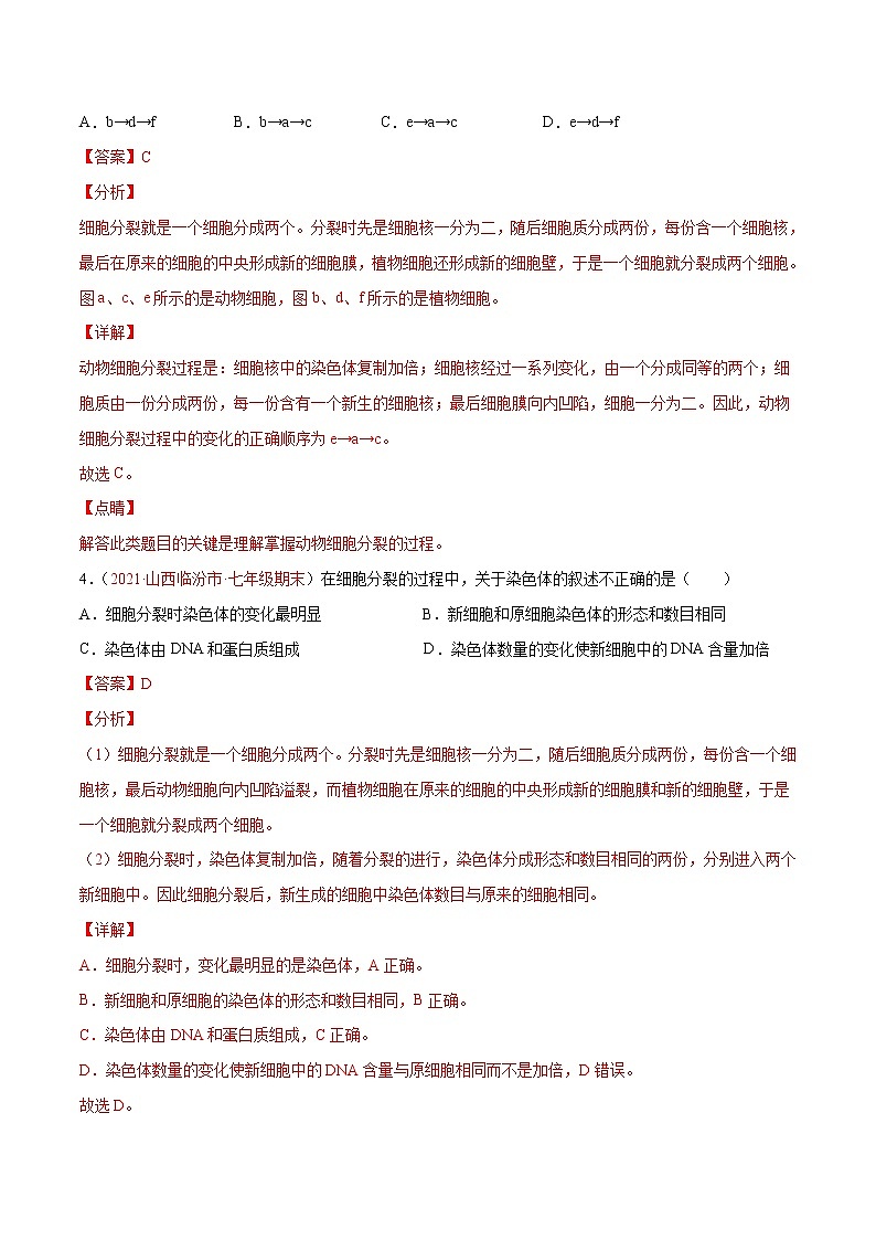 第02单元 第02章+细胞怎样构成生物体(B卷·提升能力)-2022-2023学年七年级生物上册同步单元AB卷(人教版)03