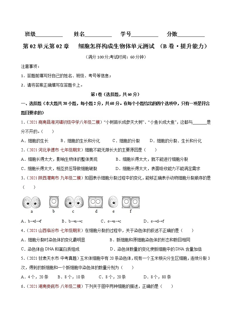 第02单元 第02章+细胞怎样构成生物体(B卷·提升能力)-2022-2023学年七年级生物上册同步单元AB卷(人教版)01