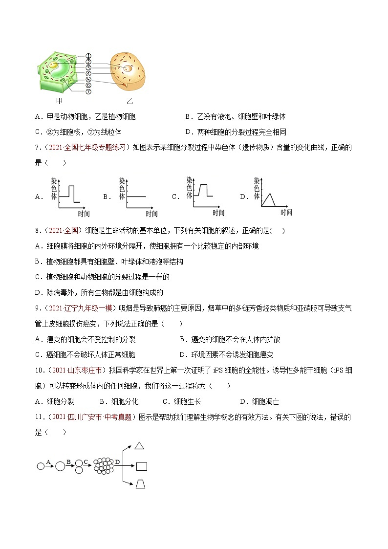 第02单元 第02章+细胞怎样构成生物体(B卷·提升能力)-2022-2023学年七年级生物上册同步单元AB卷(人教版)02