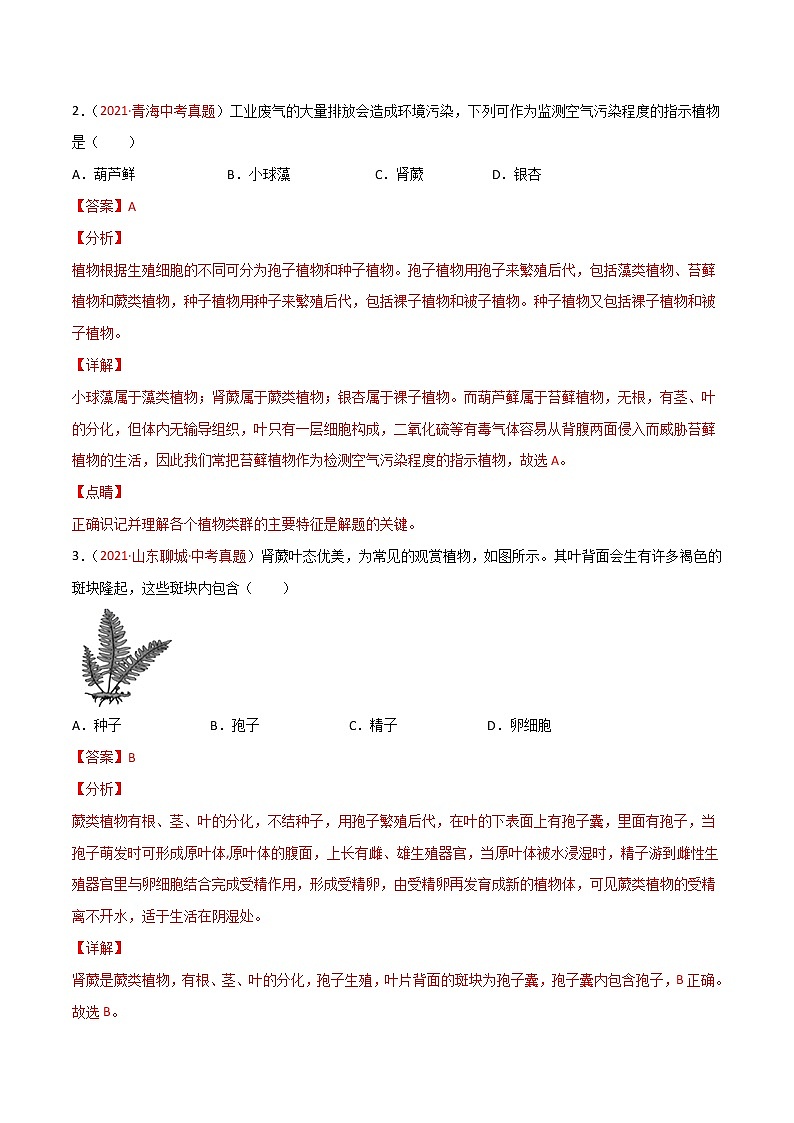 第03單元第01章生物圈中有哪些綠色植物、02章被子植物的一生單元測試（B卷·提升能力）（解析版）第2頁