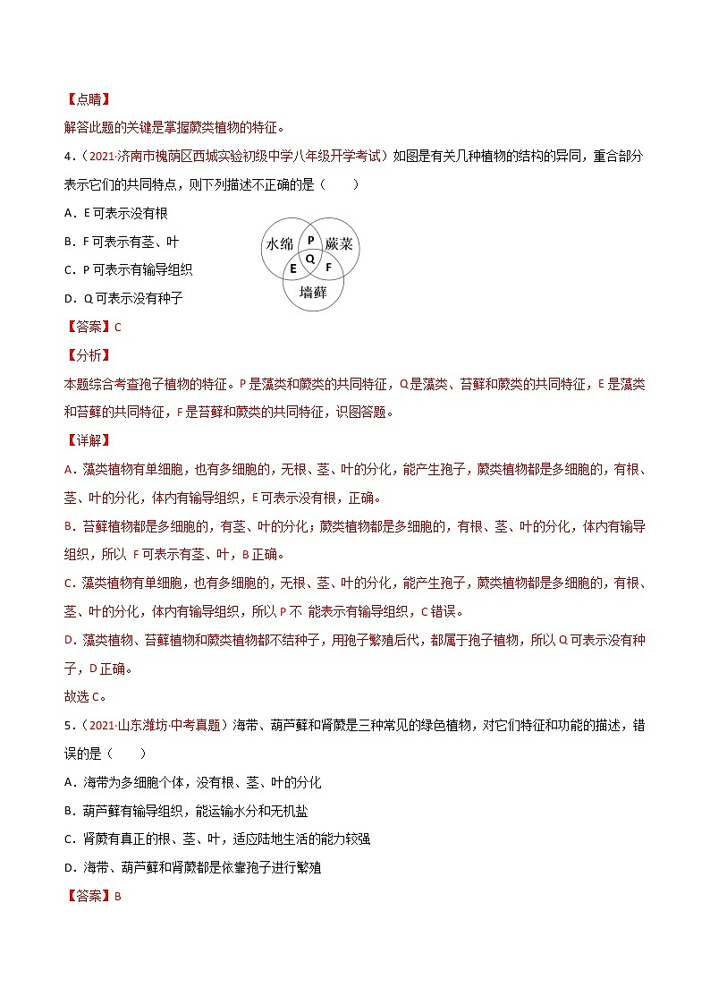 第03單元第01章生物圈中有哪些綠色植物、02章被子植物的一生單元測試（B卷·提升能力）（解析版）第3頁