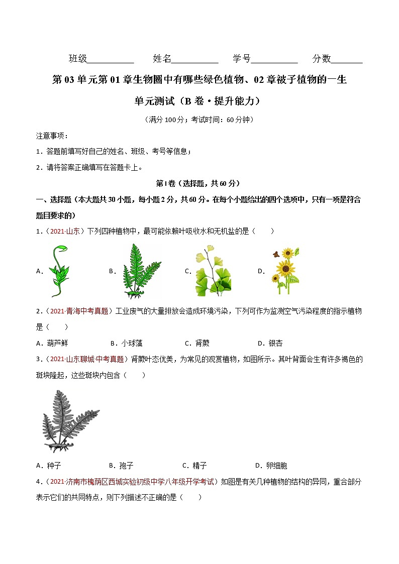 第03單元第01章生物圈中有哪些綠色植物、02章被子植物的一生單元測試（B卷·提升能力）（原卷版）第1頁