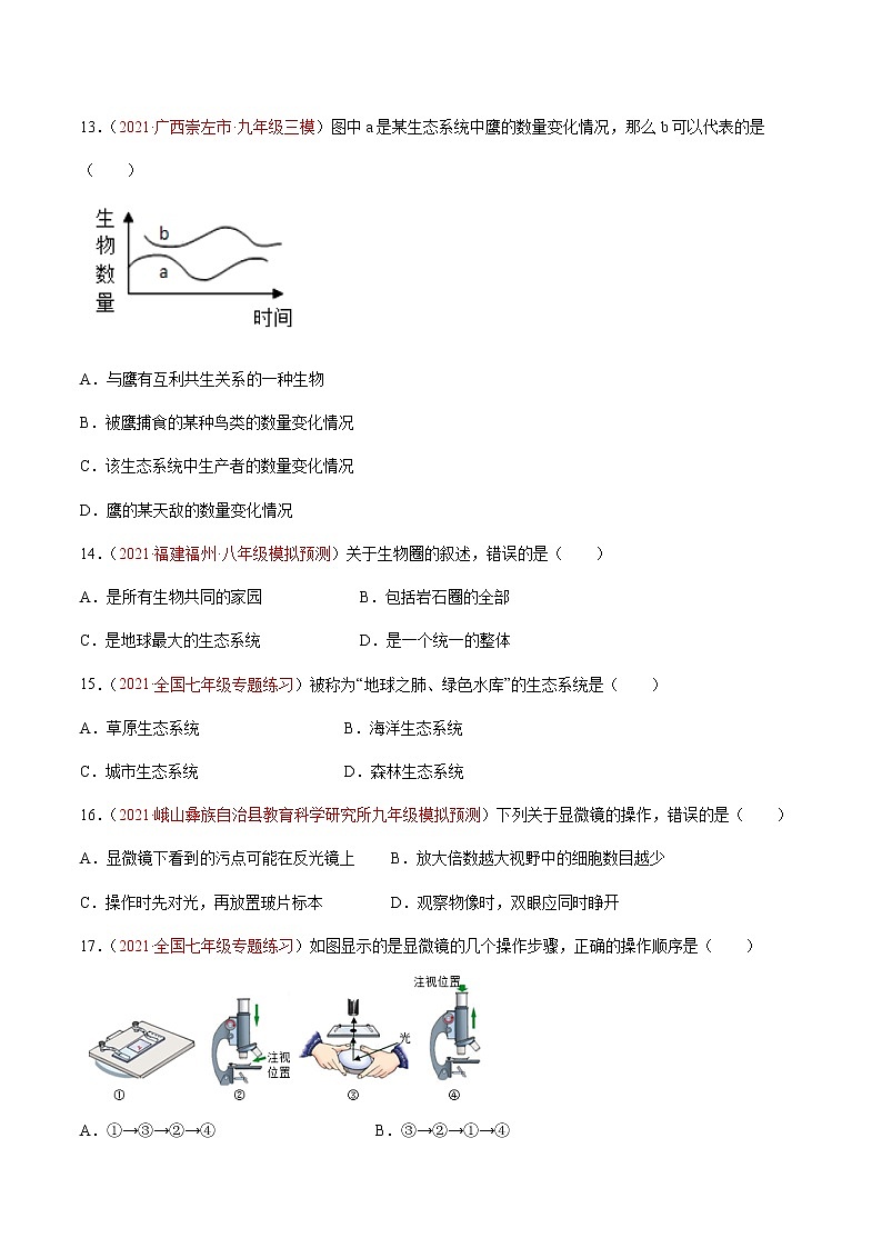 期中测试(A卷·夯实基础)(原卷版) 第3页