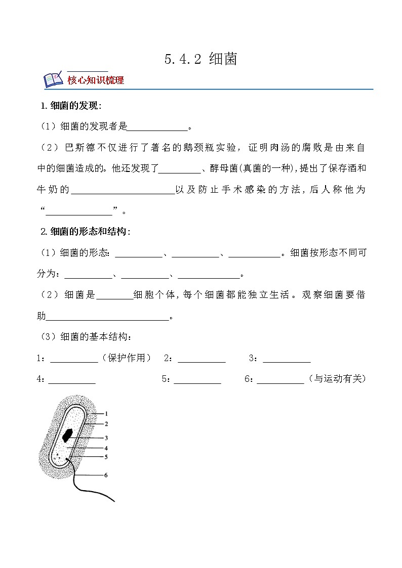 5.4.2 细菌-2022-2023学年八年级生物上册课后培优分级练(人教版)(原卷版)第1页